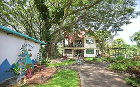 Evergreen Pakchong Home